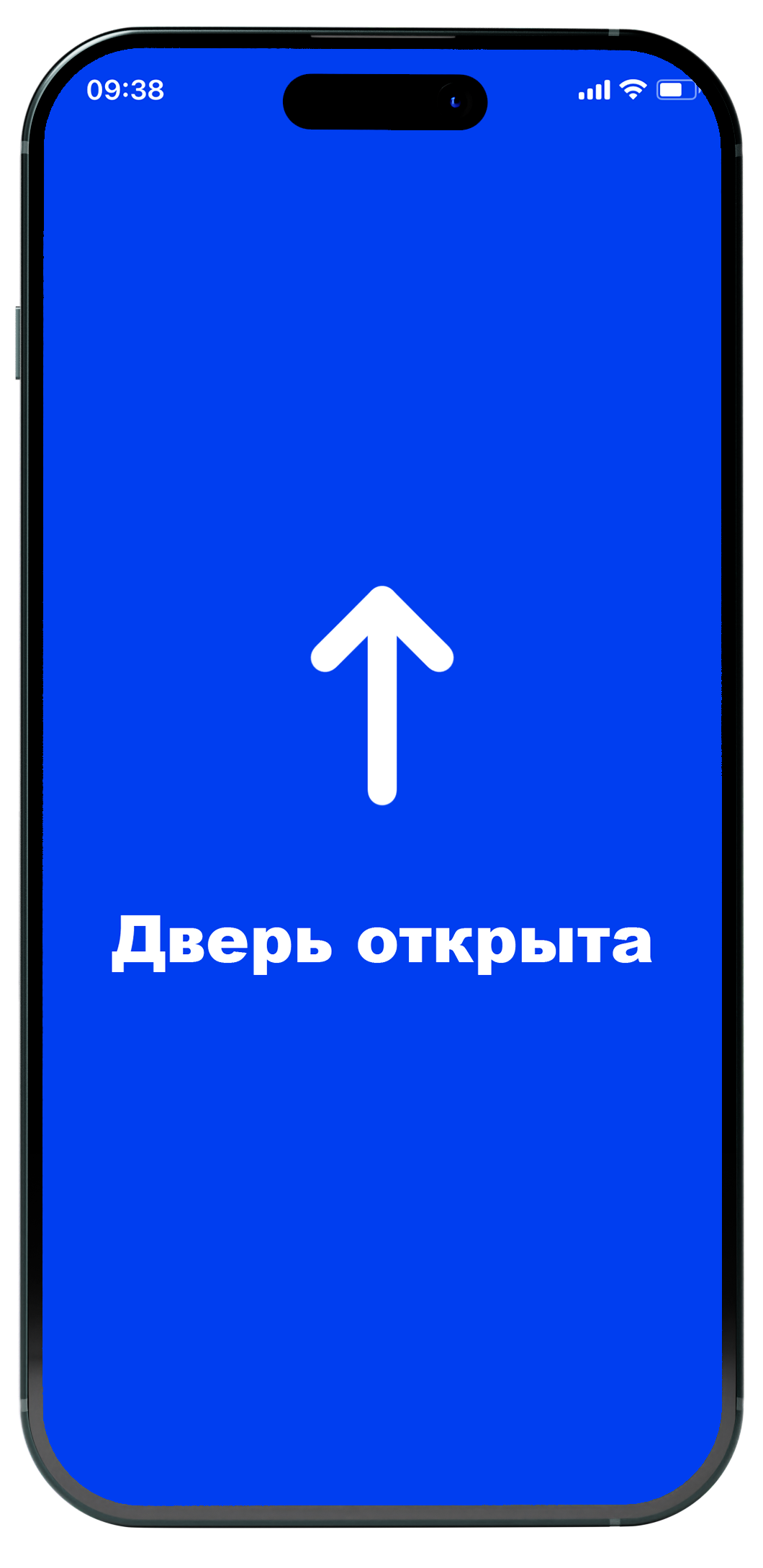 Приложение для беспроводного домофона HomeID